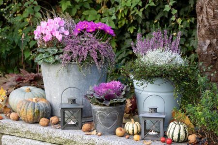 Herbstliche Kübelbepflanzung