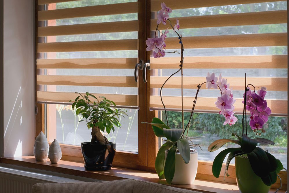 Sonnenschutz Für Fenster - So Bleiben Räume Angenehm Kühl